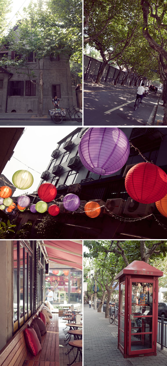 shanghai and yang’s fried dumpling