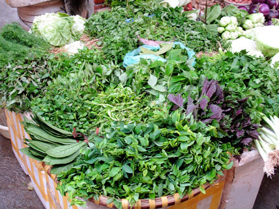 vietnamese herbs and herb farm in northern va